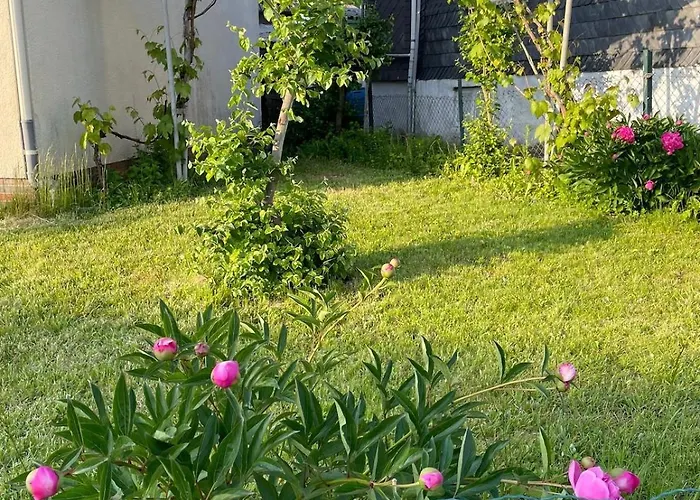 Der'is Wohlfuehlhaus *